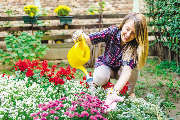 Цветна оаза - хумус и три кесице семена цвећа